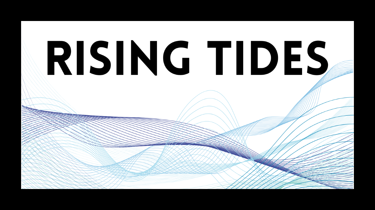 The RISING TIDES Mentorship Initiative | PACT: The Professional ...