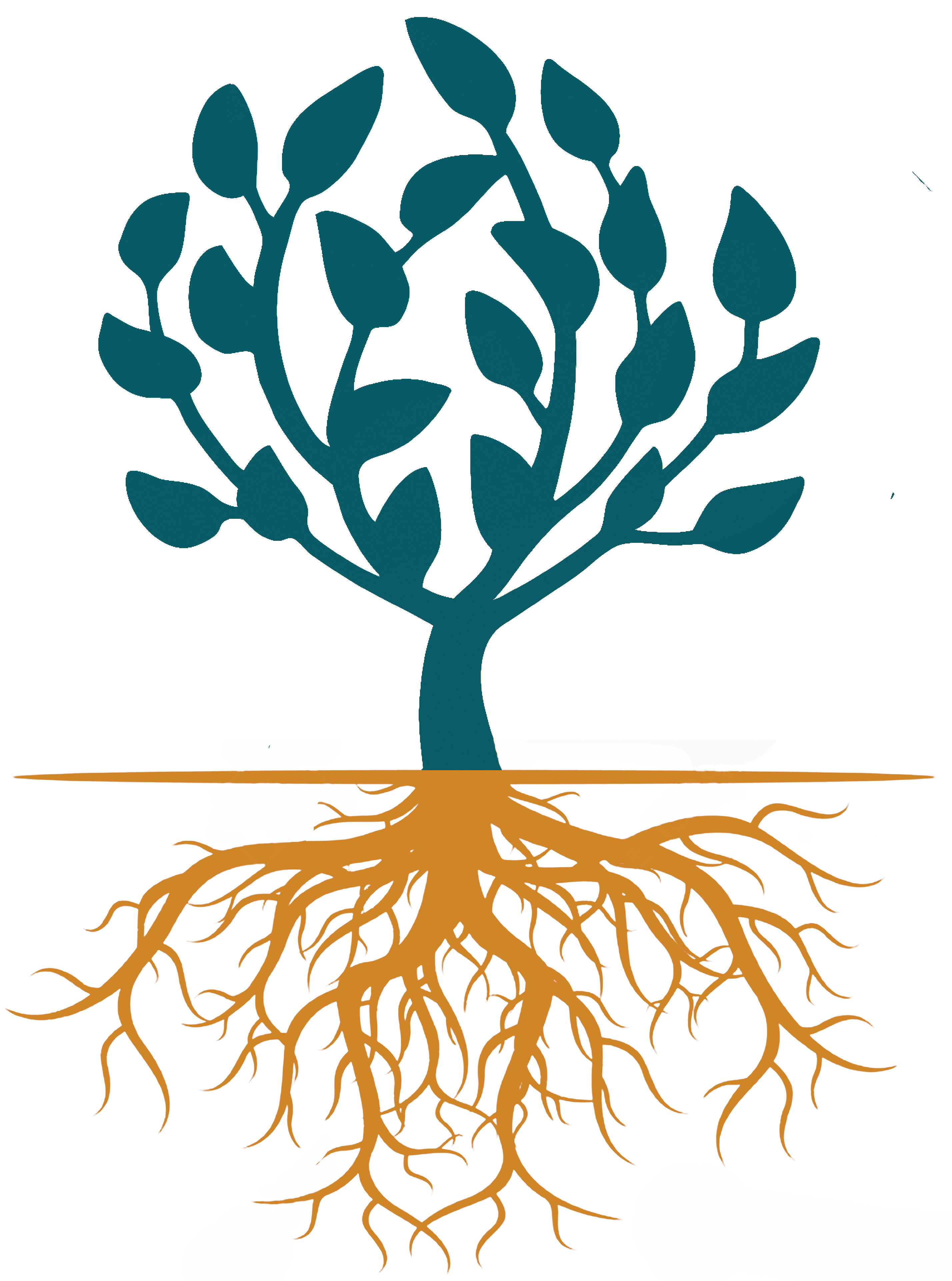 Image of Tree with Roots Highlighted