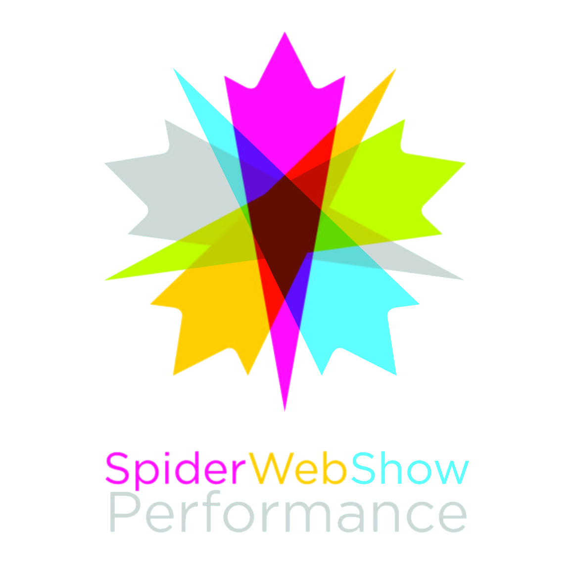 SpiderWebShow Performance - A Multicolour star made of intersected 4 point arrows, each arrow having a colour. Clockwise it is Purple, Orange, Green,Grey, and Blue.