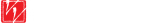 visceral visions logo