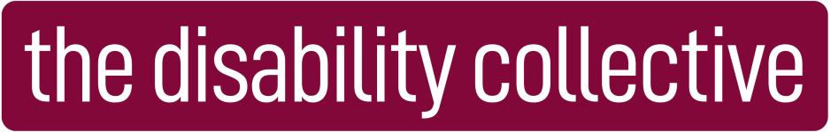 Solid Wide Logo Maroon.png