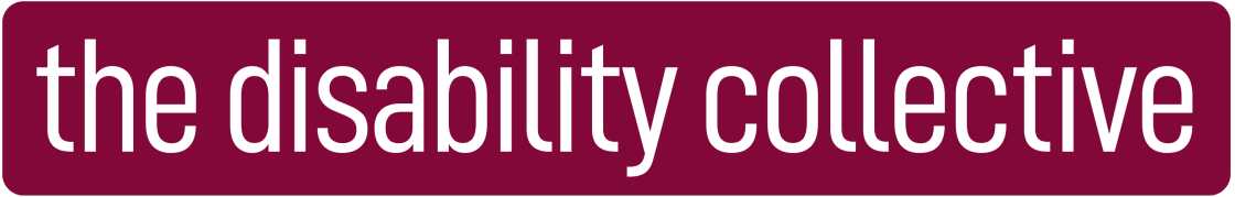 Solid Wide Logo Maroon.png